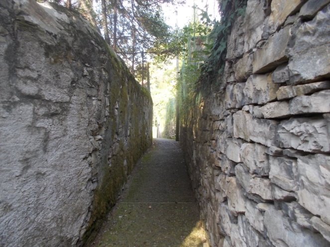 DSCN2989 (FILEminimizer)