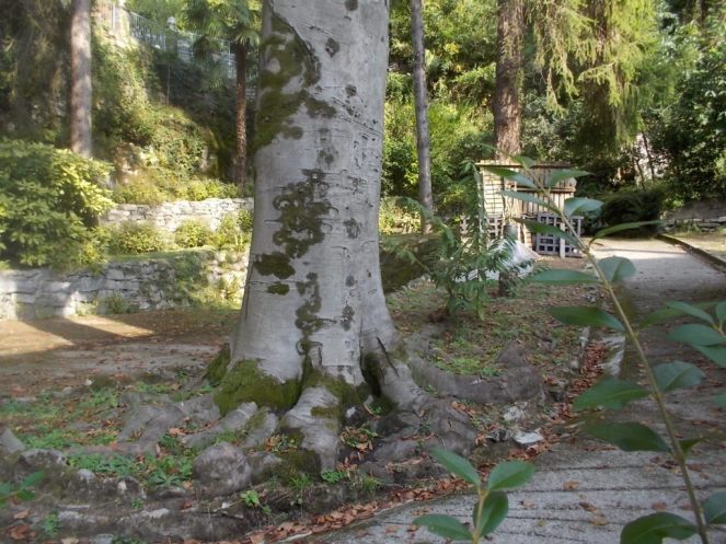 DSCN3001 (FILEminimizer)