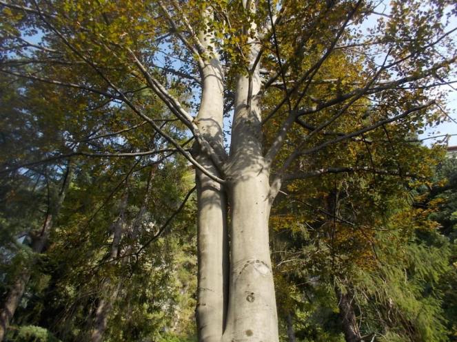 DSCN3002 (FILEminimizer)