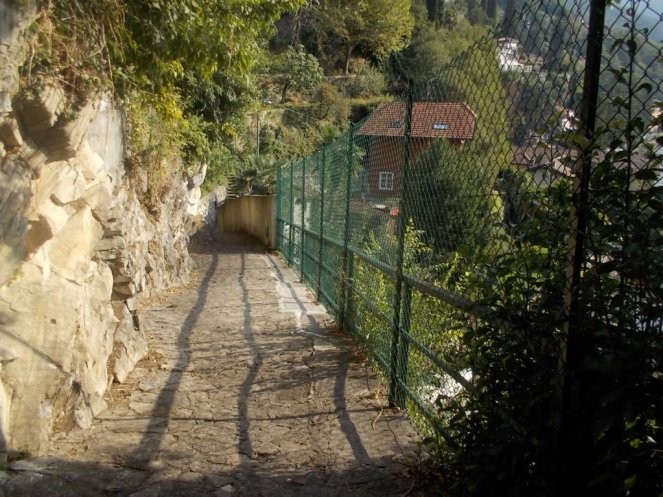 DSCN3005 (FILEminimizer)