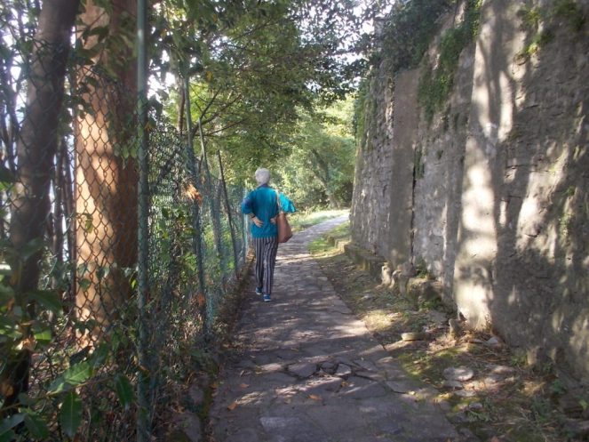 DSCN3006 (FILEminimizer)