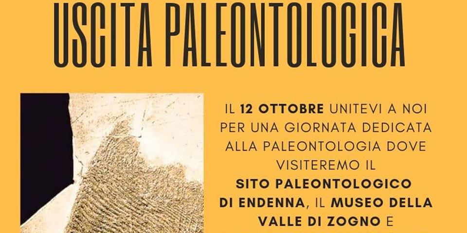 70181099_10162406794510261_5639287060306067456_n