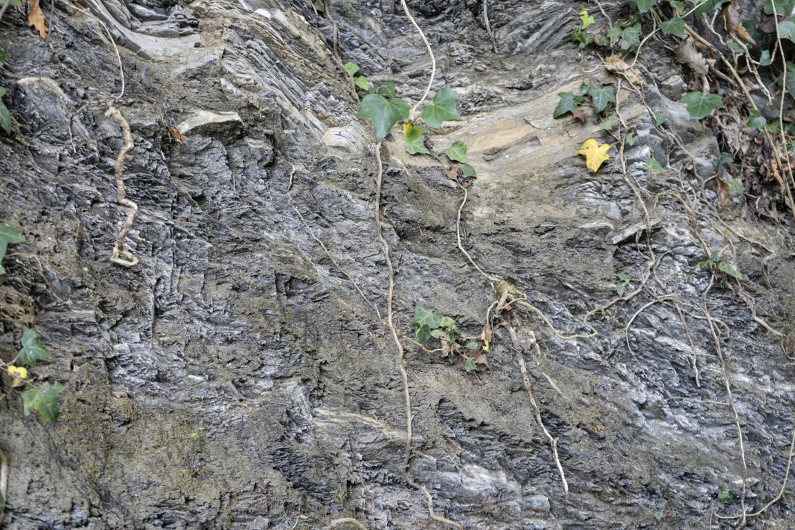 _DSC6864 (FILEminimizer)