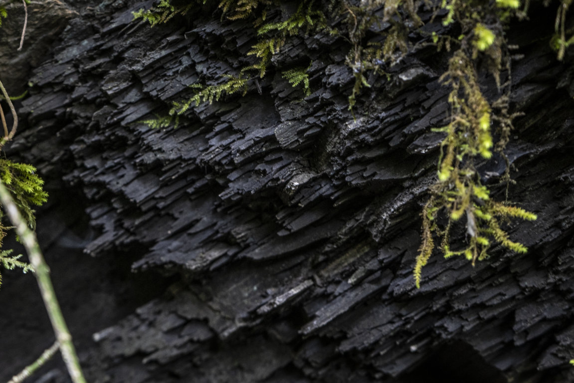 _DSC6965 (FILEminimizer)