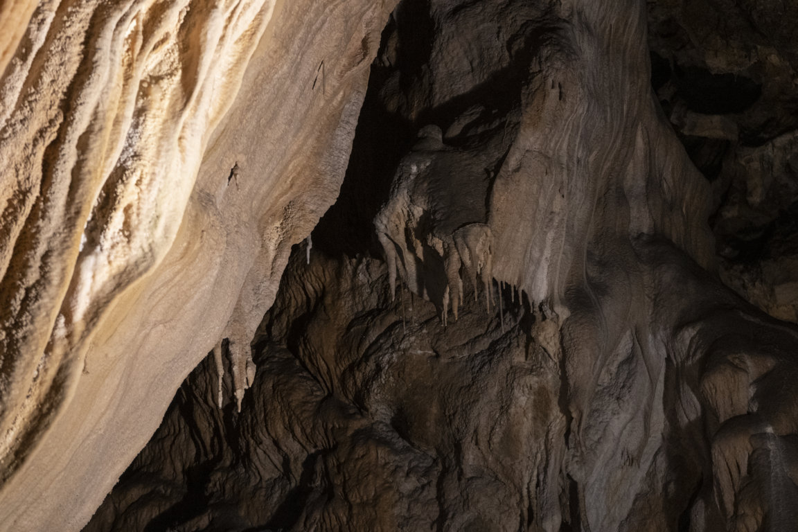 _DSC7177 (FILEminimizer)