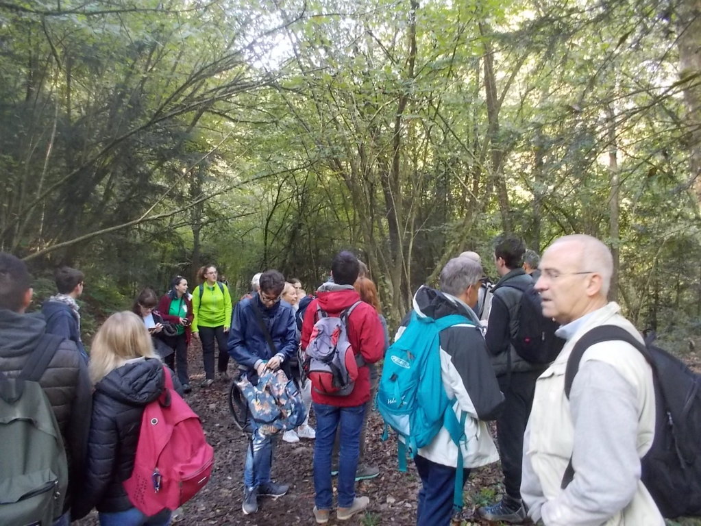 DSCN3014 (FILEminimizer)