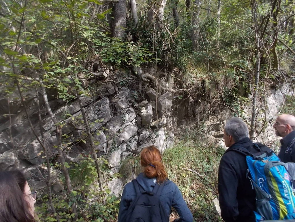 DSCN3015 (FILEminimizer)