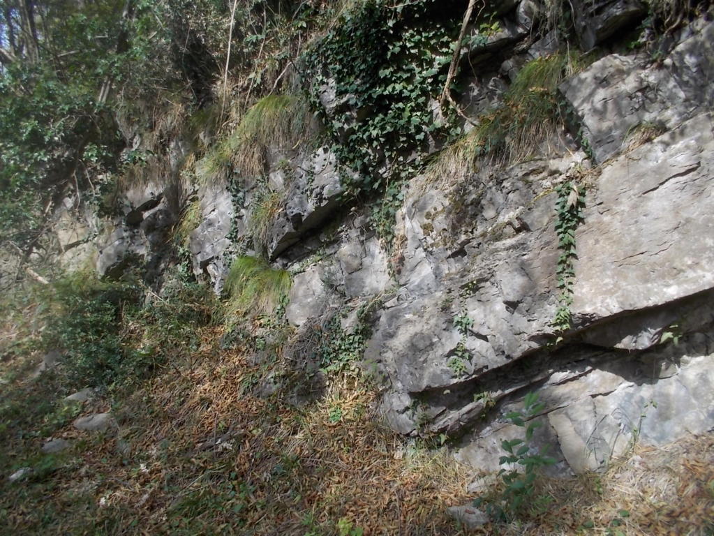 DSCN3017 (FILEminimizer)