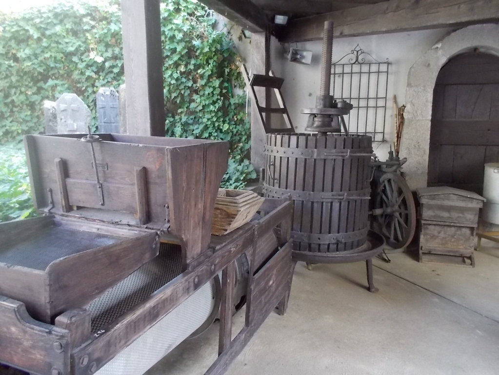 DSCN3027 (FILEminimizer)