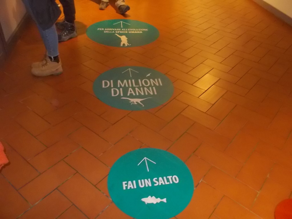 DSCN3032 (FILEminimizer)