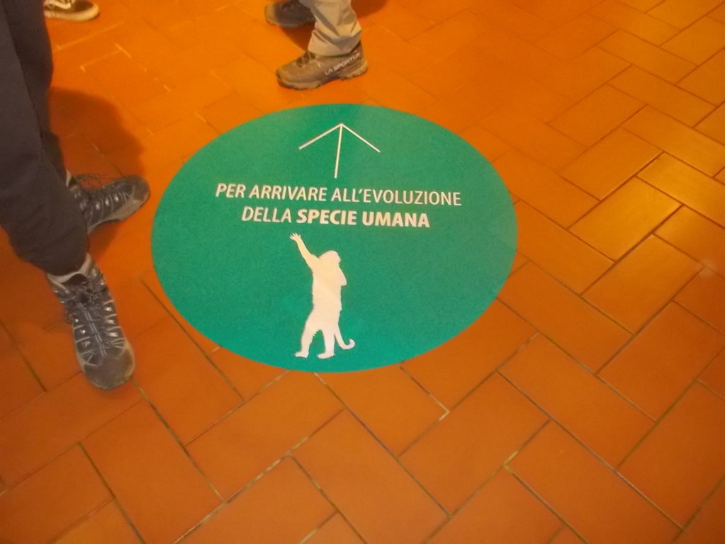 DSCN3033 (FILEminimizer)