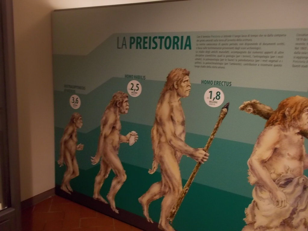 DSCN3034 (FILEminimizer)