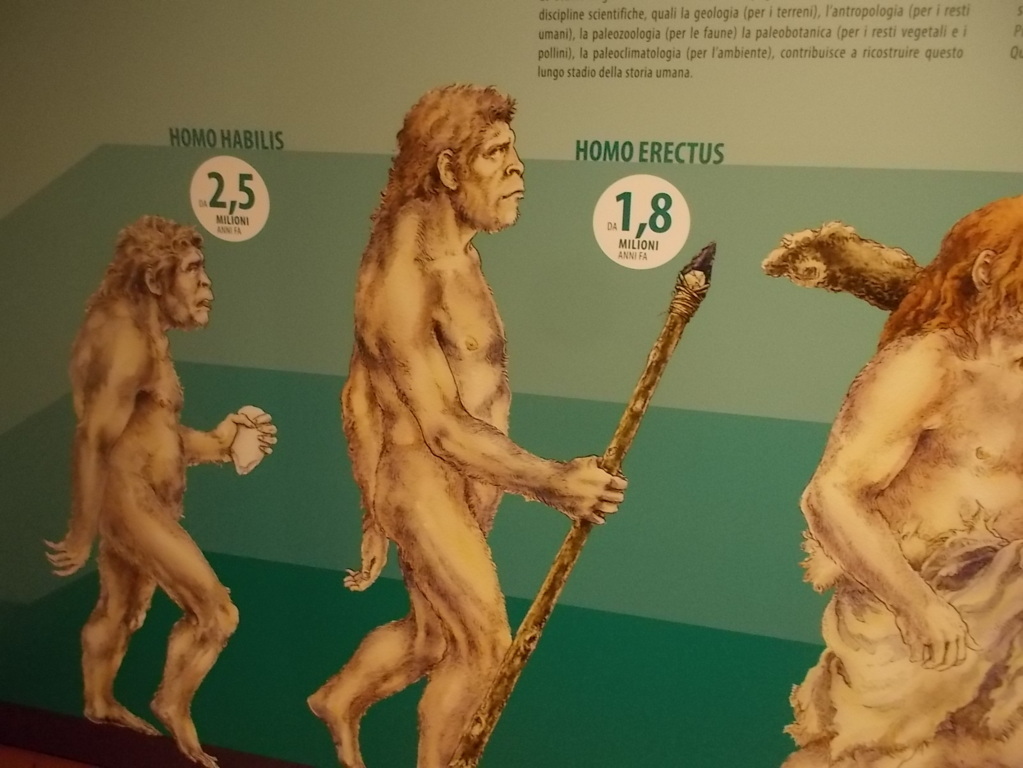 DSCN3035 (FILEminimizer)