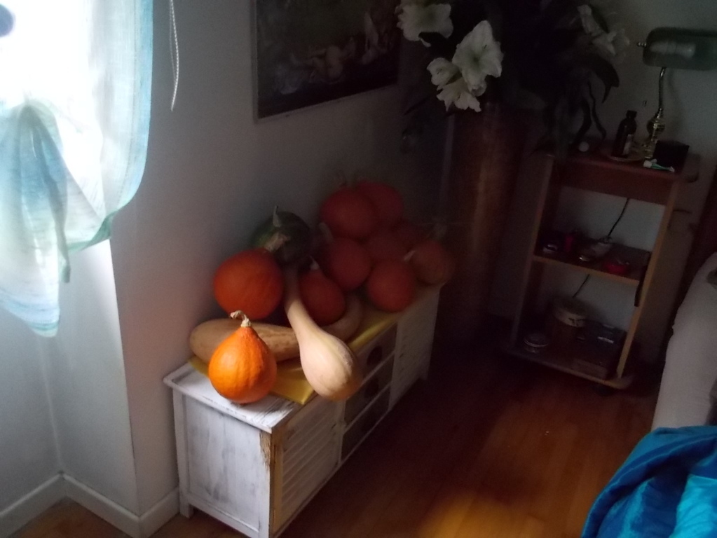 DSCN3047 (FILEminimizer)