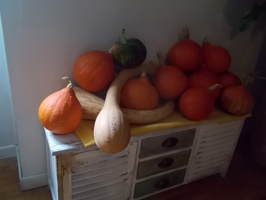 DSCN3048 (FILEminimizer)