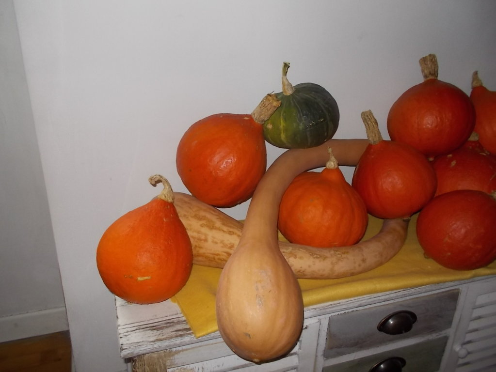 DSCN3050 (FILEminimizer)