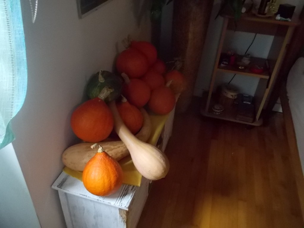 DSCN3051 (FILEminimizer)