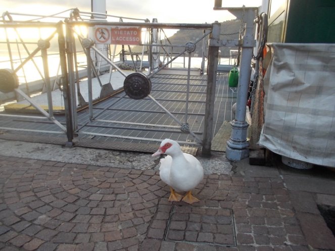 DSCN3091 (FILEminimizer)