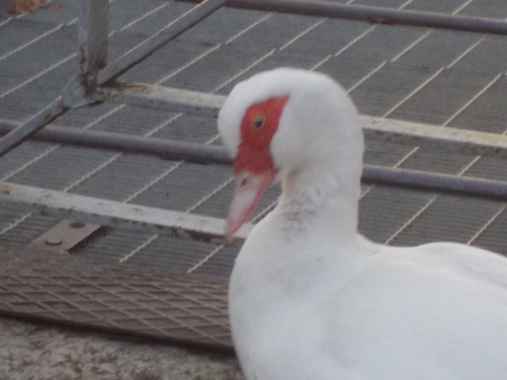 DSCN3093 (FILEminimizer)