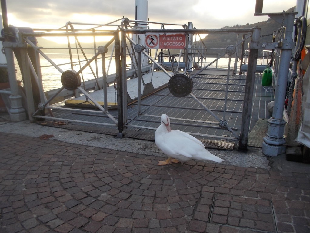 DSCN3094 (FILEminimizer)