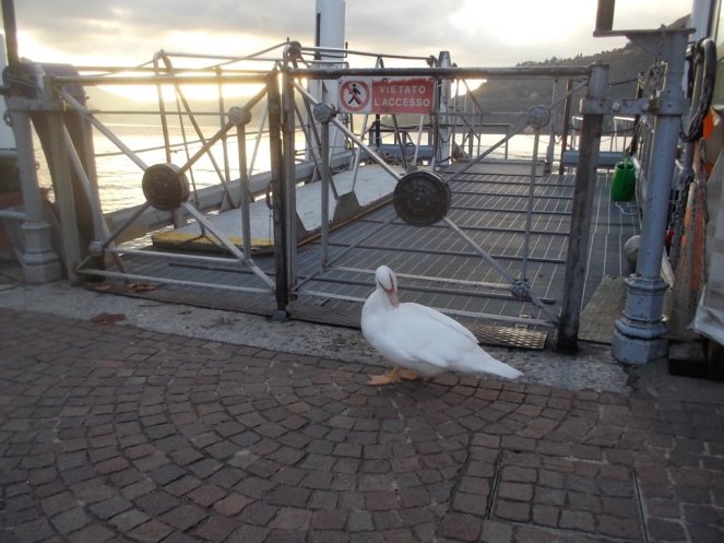 DSCN3094 (FILEminimizer)