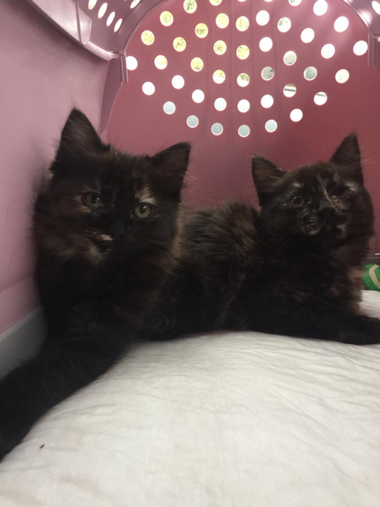 F06ED750-6ECF-4F1D-A1C1-AA45FFDC3473