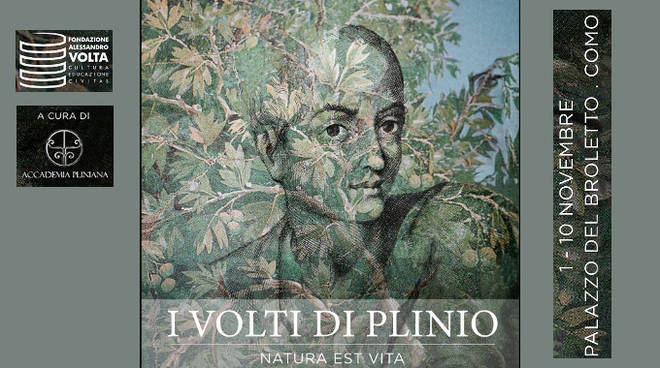 i-volti-di-plinio-165630.660x368