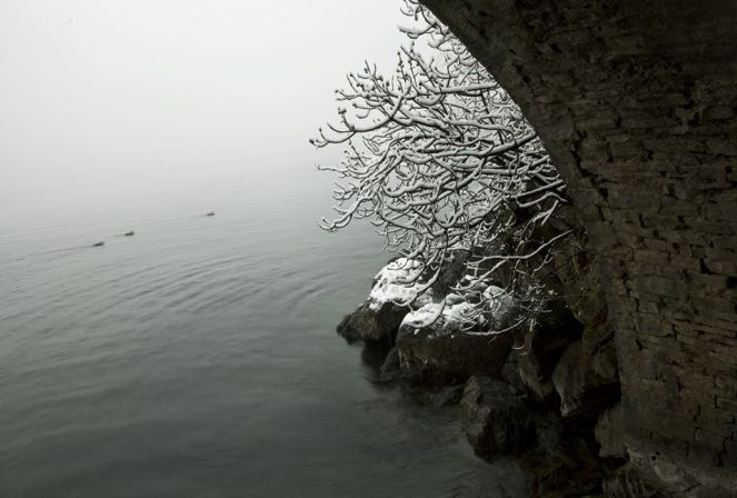 79368786_10220985763263922_2871446689783218176_o