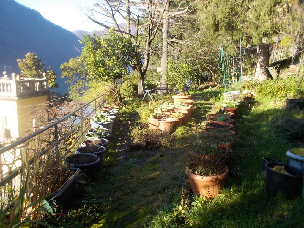 DSCN3099 (FILEminimizer)