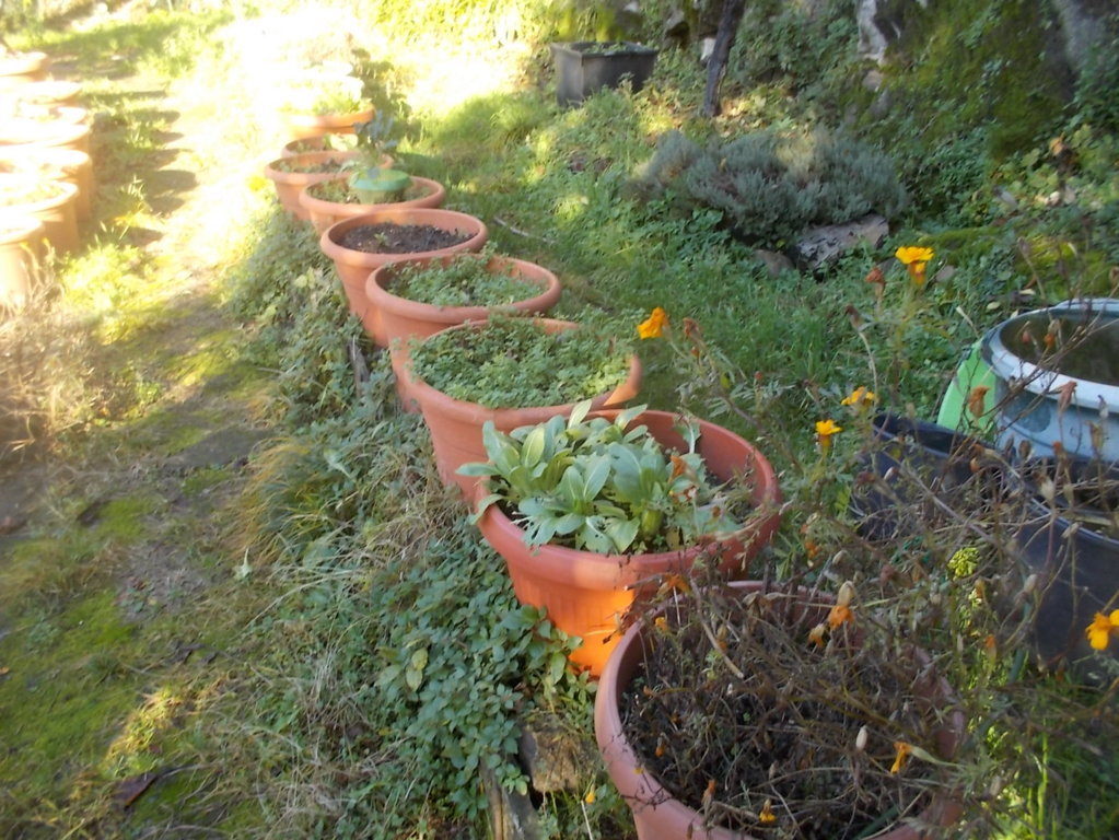 DSCN3100 (FILEminimizer)