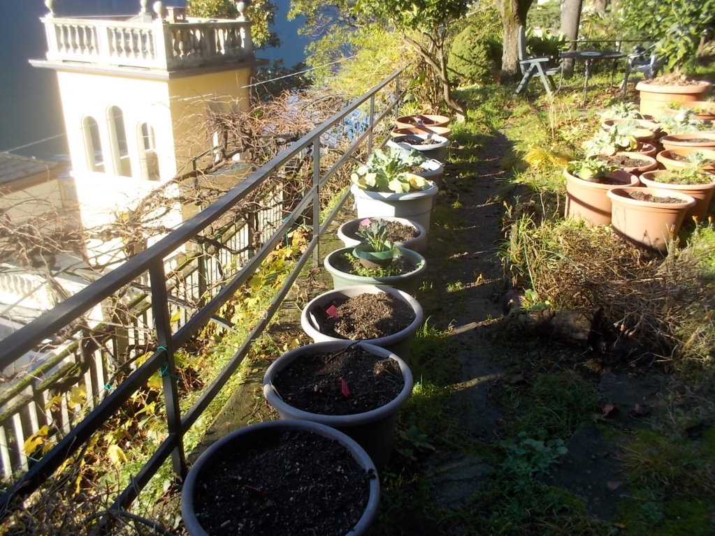 DSCN3101 (FILEminimizer)