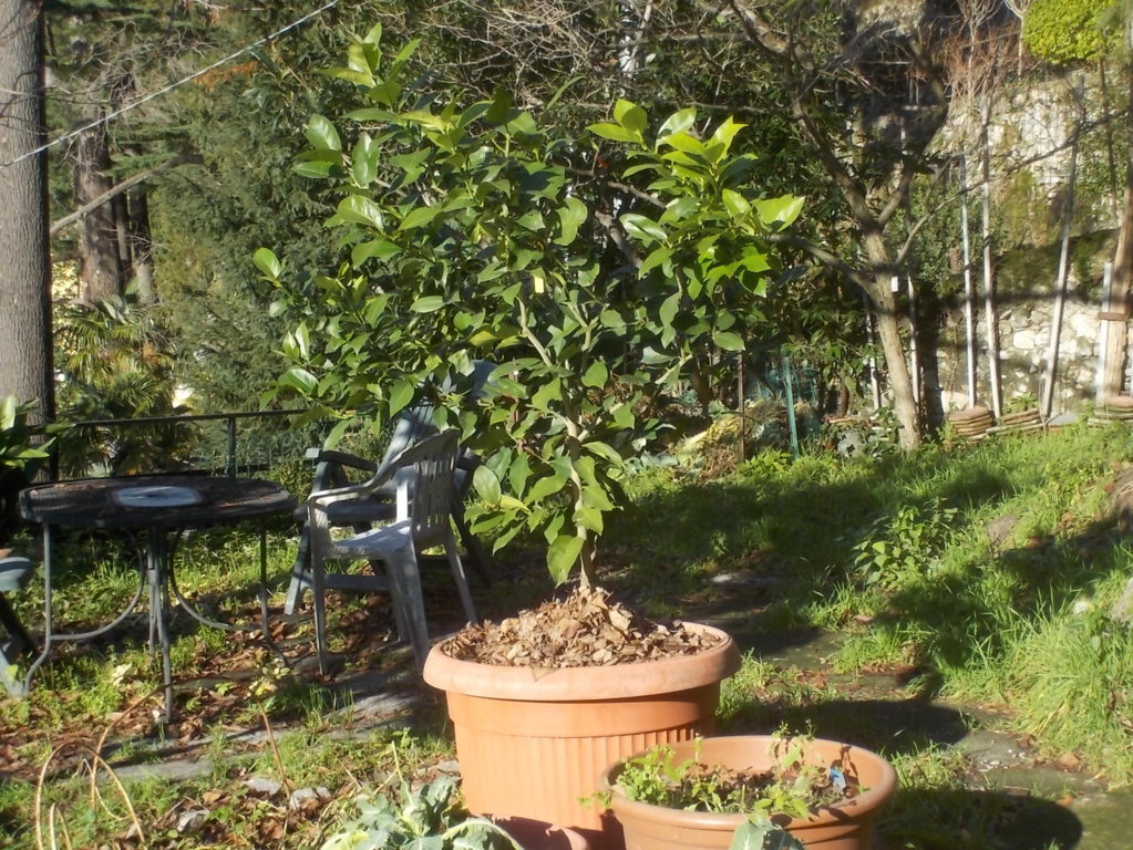 DSCN3104 (FILEminimizer)