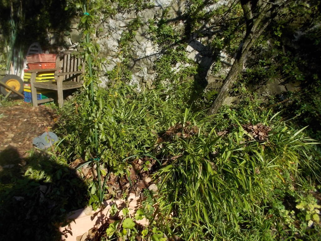 DSCN3105 (FILEminimizer)