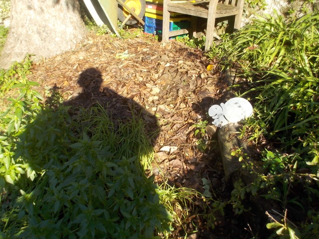 DSCN3106 (FILEminimizer)