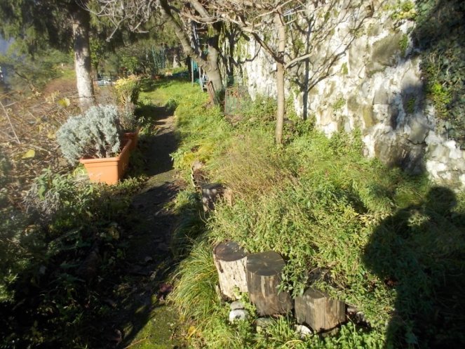 DSCN3107 (FILEminimizer)