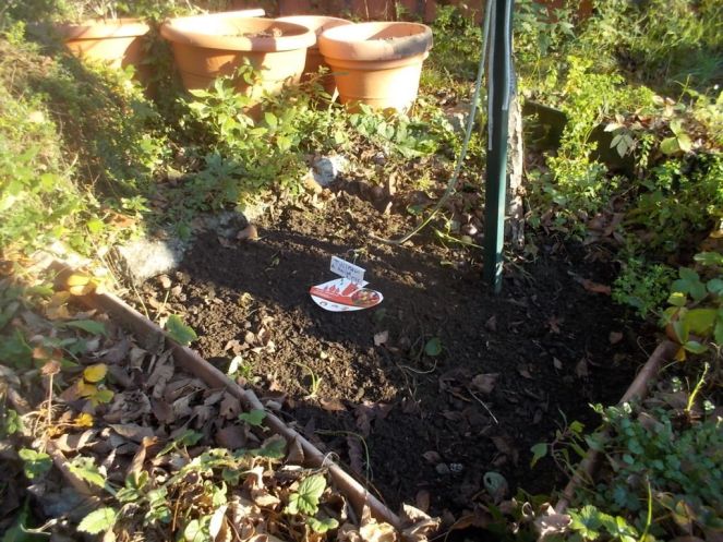 DSCN3180 (FILEminimizer)