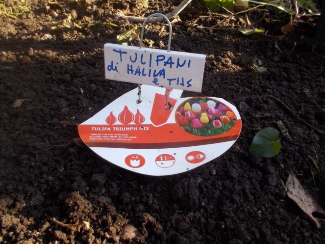 DSCN3181 (FILEminimizer)