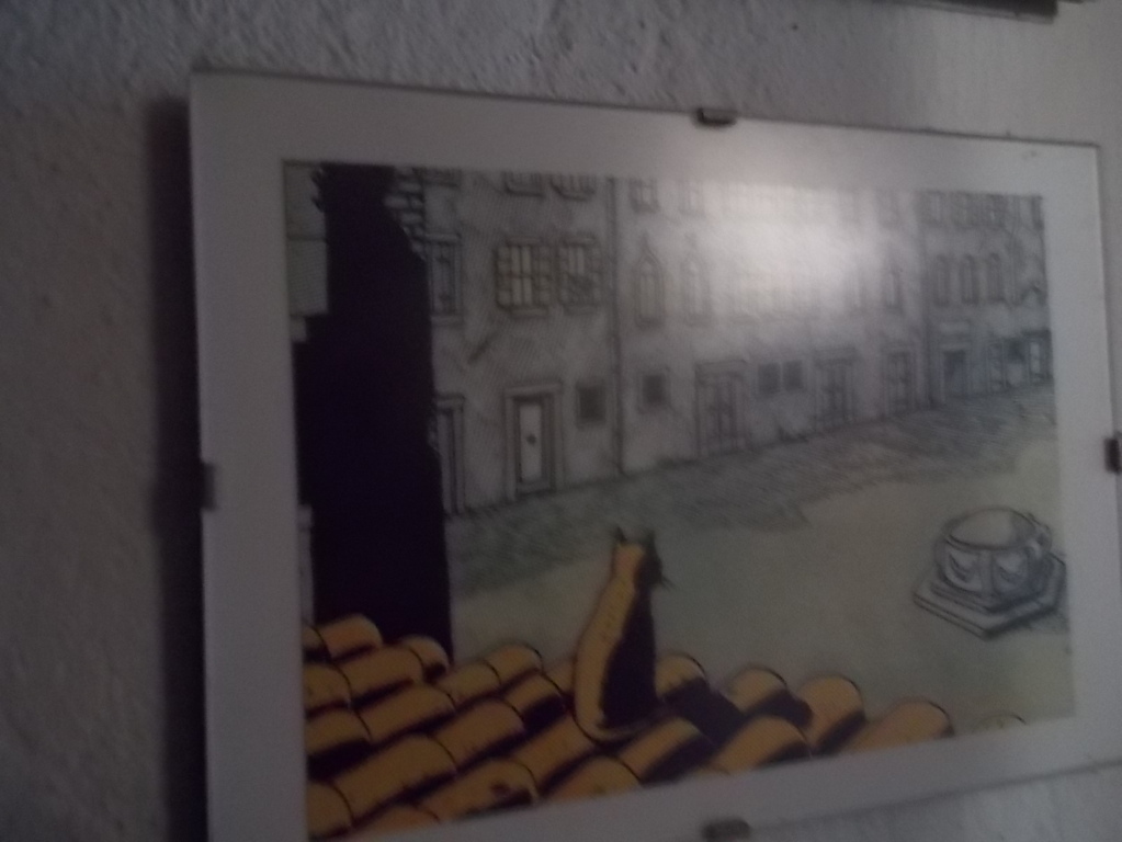 DSCN3187 (FILEminimizer)