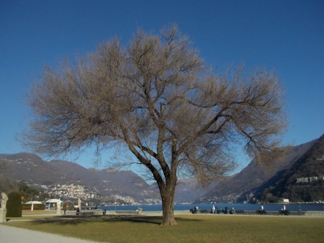 DSCN3196 (FILEminimizer)