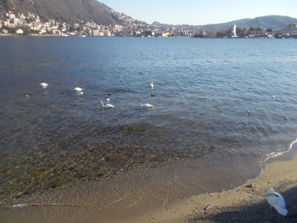 DSCN3199 (FILEminimizer)