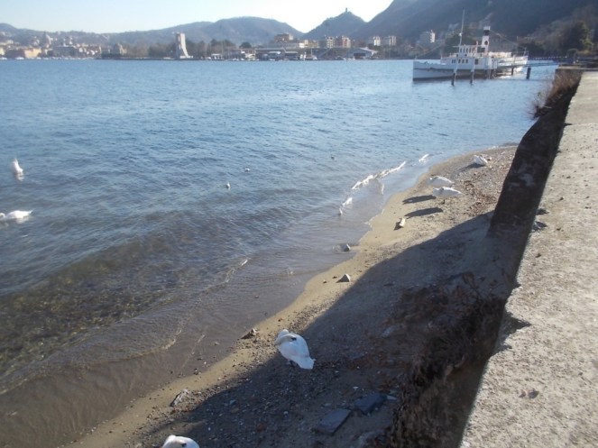 DSCN3200 (FILEminimizer)