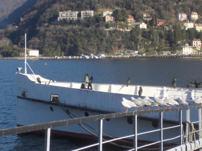 DSCN3203 (FILEminimizer)