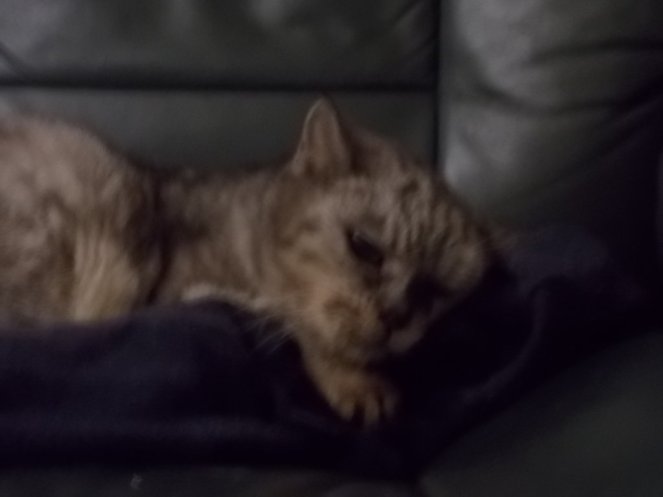 DSCN3213 (FILEminimizer)