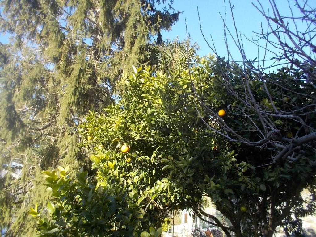 DSCN3217 (FILEminimizer)