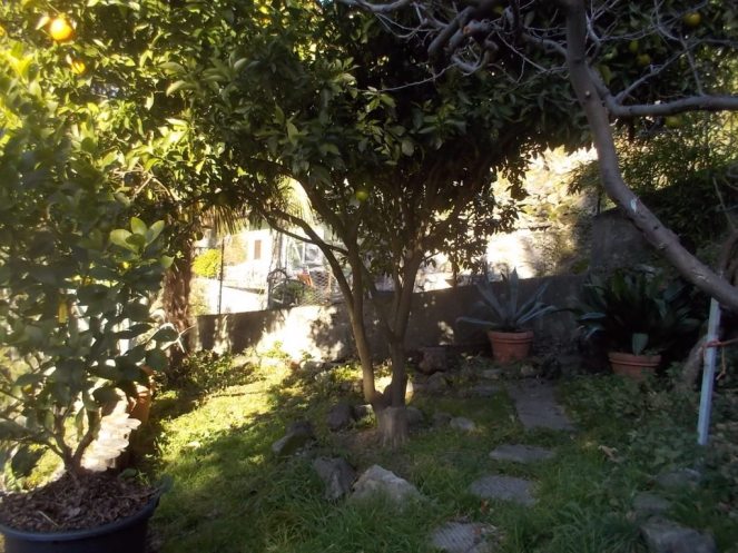 DSCN3221 (FILEminimizer)