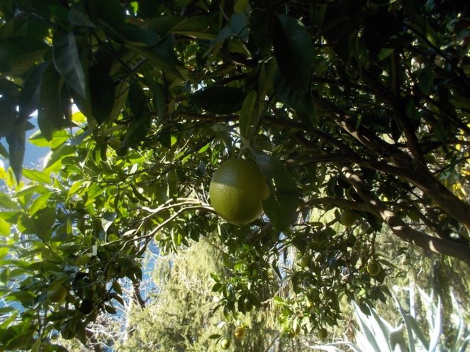 DSCN3223 (FILEminimizer)