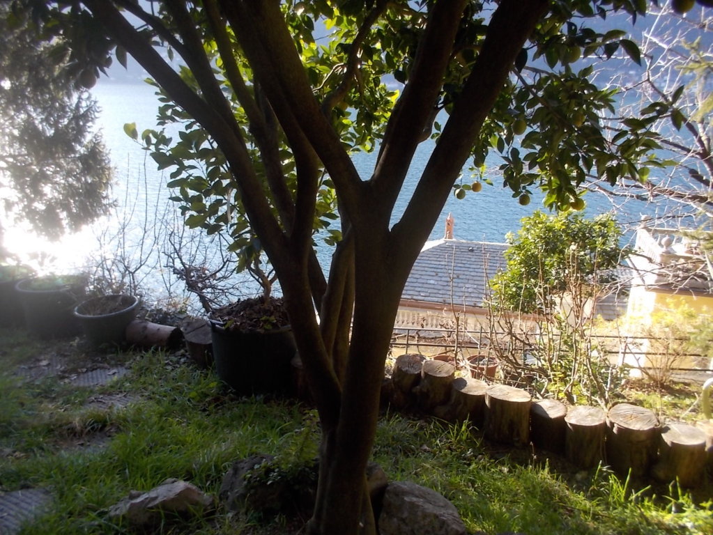 DSCN3227 (FILEminimizer)