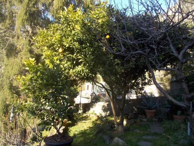 DSCN3229 (FILEminimizer)