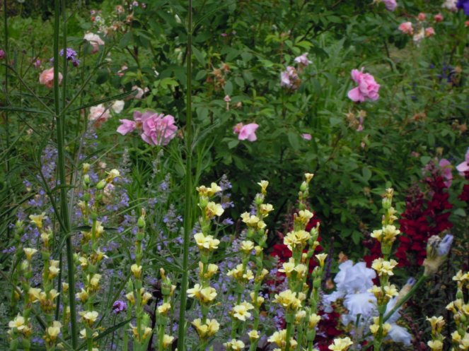 DSCN7438 (FILEminimizer)