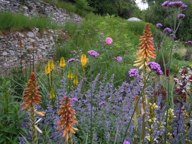 DSCN7537 (FILEminimizer)